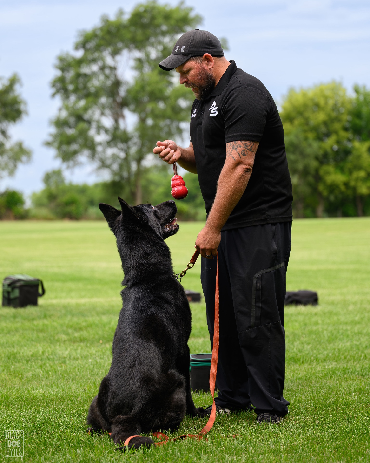 Tim Vaillancourt rewarding a black German Shepherd during detection training